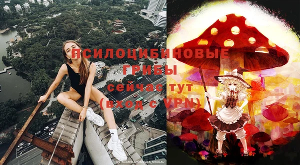 мет Алексин