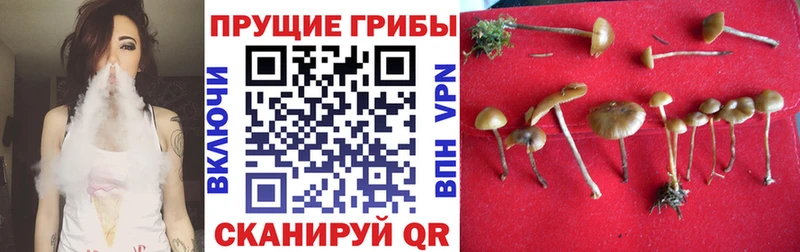 Галлюциногенные грибы ЛСД  Купить  Серафимович 